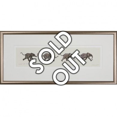 Limited Edition Elephant Print: Study for Running Baby Elephants by Jonathan Sanders (Framed)