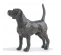 Bronze Dog Sculpture: Standing Beagle by Sue Maclaurin