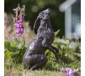 Bronze Hare Sculpture: Garden Moon Gazing Hare by Sue Maclaurin (Life Size)
