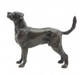 Bronze Dog Sculpture: Standing Labrador by Sue Maclaurin