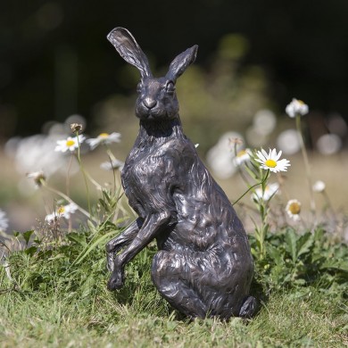 Bronze Hare Sculpture: Garden Seated Hare by Sue Maclaurin (Life Size)