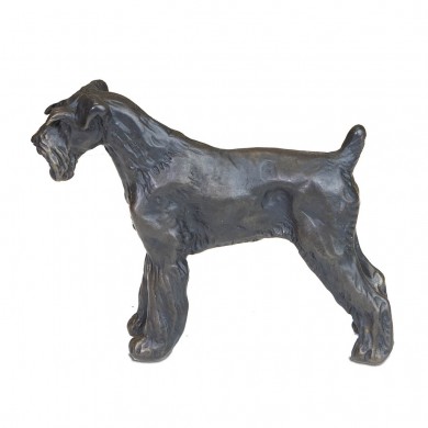 Miniature Schnauzer (Docked) by Sue Maclaurin