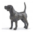 Bronze Dog Sculpture: Standing Beagle (Female) by Sue Maclaurin **NEW!!**
