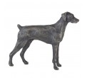 Bronze Dog Sculpture: Standing Dobermann (Female, Docked) by Sue Maclaurin **NEW!!**