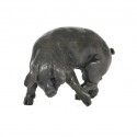 Bronze Pig Sculpture: Medium Pig Head Left by Sue Maclaurin