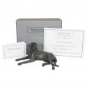 Bronze Dog Sculpture: Lying Labrador by Sue Maclaurin