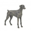 Bronze Dog Sculpture: Female Standing Dobermann (Docked)